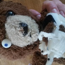 teddybear occhio - tiro a segno laser bug uccisione cyber teddy gioco giocattolo orsacchiotto bulbo oculare orso 3d print model - Mito3D