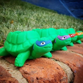 adolescente mutante ninja turtles inspired tartaruga fioriera succulenta 3d print model - Mito3D
