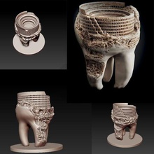 denti art modello perfetto interni designer 3d 3d print model - Mito3D