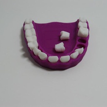 teeth model various toys 3d print model - Mito3D