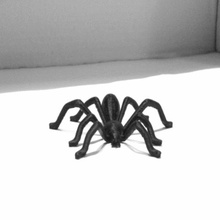 tegenaria domestica art spider home house cellar stl bug sculpture october halloween 3d print model - Mito3D