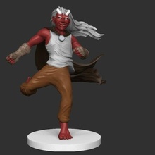 teifling monk dnd tabletop mini demon daemon gaming martial art 3d print model - Mito3D