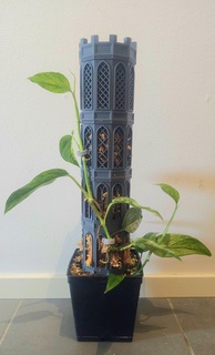 ten edged musgo torre pólo coco plantar suporte Monstera epipremnum filodendro arte decoração fantasia elfo 3d print model - Mito3D