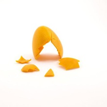 terrario uovo vari gli animali domestici giocattoli da compagnia terrari 3d print model - Mito3D