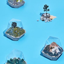 terrarium projet mayku la maison 3d print model - Mito3D