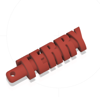 terry keychain art present gift 3d print model - Mito3D