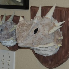 texas horned lizard phrynosoma cornutum - horny toad art animal mount wall 3d print model - Mito3D