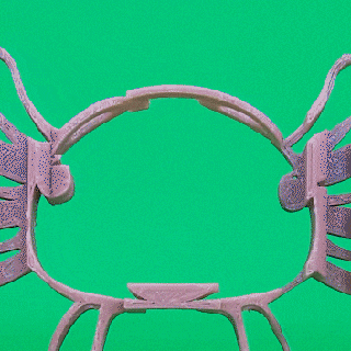 texto giro axolotl mestre impressora gadget arte animal 3d print model - Mito3D