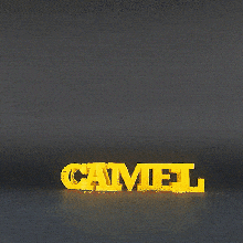 text flip - camel art 2022 animal animals master printer 3d print model - Mito3D