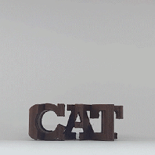 testo Flip gatto 3d print model - Mito3D