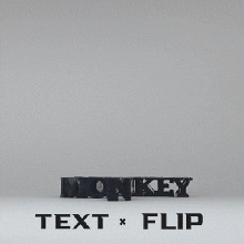 text flip - monkey 3d print model - Mito3D