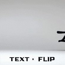 text flip - zebra 20 3d print model - Mito3D