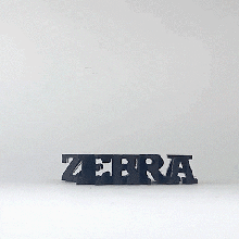 text flip - zebra bust 10 3d print model - Mito3D