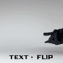 text flip - zebra bust 20 3d print model - Mito3D