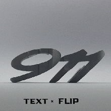 Text Flip 911 Turbo porsche Wagen Meister Drucker Kunst 3d print model - Mito3D