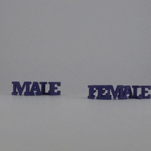 text flip male female art symbol 3d print model - Mito3D