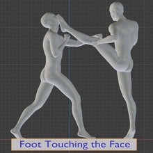 thai boxing arts 2 foot touching face 3d print model - Mito3D