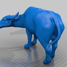 thai water buffalo various animal statue thailand asia horn bull 3d print model - Mito3D