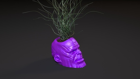 Thanos yetiştiriciler tencere vazo iç Çiçekler bitkiler hayret kahraman süper tasarım Sanat 3d print model - Mito3D