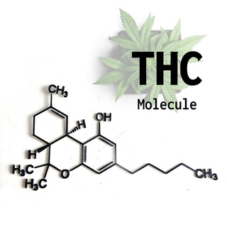 thc molecule wall art tetrahydrocannabinol drugs 2d cannabis weed sativa 3d print model - Mito3D