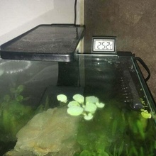 termômetro suporte 4mm vidro aquário monte 3d print model - Mito3D