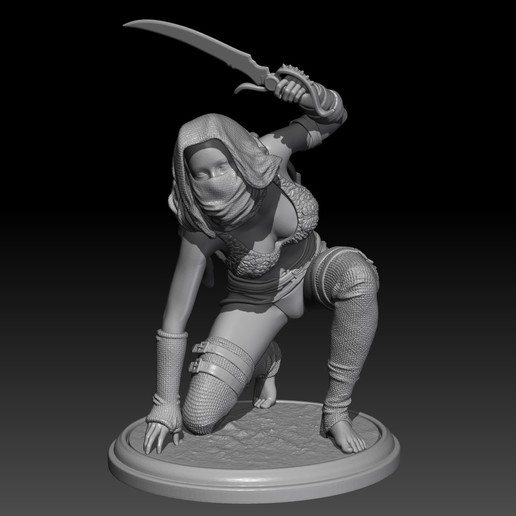ladrão menina 3d imprimíveis figura fantasia de a arte espada printable Impressão modelo guerreiro garota 3D print model - Mito3D