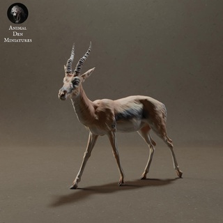 thomsons gazelle animal antelope deer wild wildlife creature realistic grassland sculpture figurine figure miniature savannah 3d print model - Mito3D