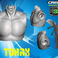 thorax art figure 3d print model - Mito3D