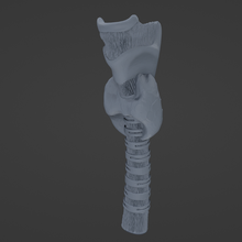 throat 3d print model - Mito3D