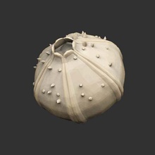 throwable items etc x12 savage planet game props throw shooting seed sampler root ppuffer poop player objects live light journey item grapple fruit fire extractor electric cartographer can cactus bomb bait acid 3d print model - Mito3D