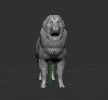 tibetanisch Dogge Hund Pitbull Tier Haustier Trophäe Hunde 3d print model - Mito3D