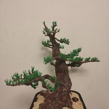tiesto bonsai maceta flor flores jardín planta 3d print model - Mito3D