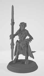 tiflin warrior Game role 3d print model - Mito3D