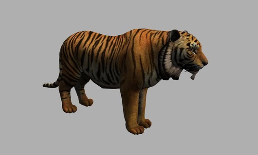 tigre fbx animal mer nature poisson 3d print model - Mito3D