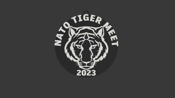tiger meet 2023 keychain nato gioiadelcolle italy military aeronauticamilitare portachiavi keyring 3d print model - Mito3D