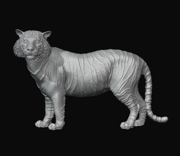 tigre échelle modèle 3d impression prêt jouets décoration animal haute poly art jouet sauvage vie 3d print model - Mito3D