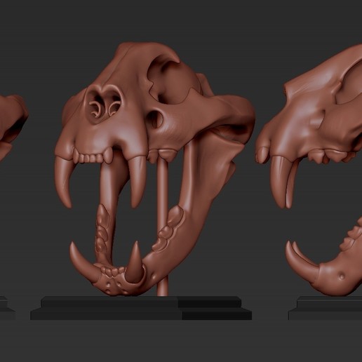 tiger skull art designs toy fish printing 3d sculpture animal 3D print model - Mito3D