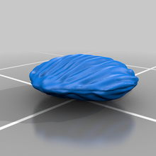 tiny clam scalable art 3d print model - Mito3D