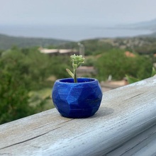tiny pot plants art decoration succulents cactus vase home balcony container 3d print model - Mito3D