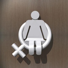 toilet room sign female home 3d print model - Mito3D