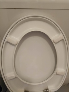 Toilette Sitz Stecker Badezimmer wc spülen zufällig komisch 3d print model - Mito3D