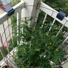 domates kafes dostum ev açık bahçe dur monte edin tutucu köşe dirseği balkon Daire 3d print model - Mito3D