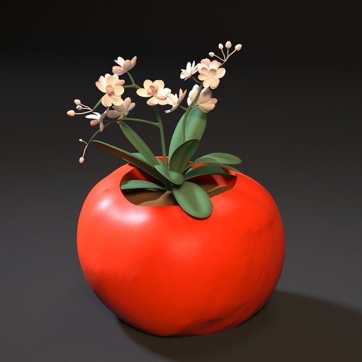 Tomaten-Pflanzer Kunst andere Innenraum vase pot Allgemeinen Dekoration Dekor Drucker 3d Pflanzer Tomate 3D print model - Mito3D