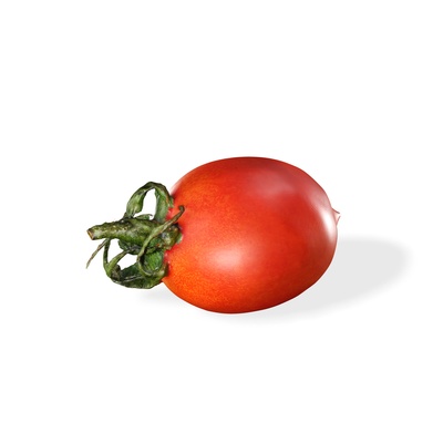 tomate gemüse obst baum wald holz blume pflanze lebensmittel getränk saft natur zuhause haus apfel 3d modell pflug chui banane hölzern pfirsich gras 3d print model - Mito3D