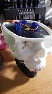 tomm's 3 axis talking skull  3d print model - Mito3D