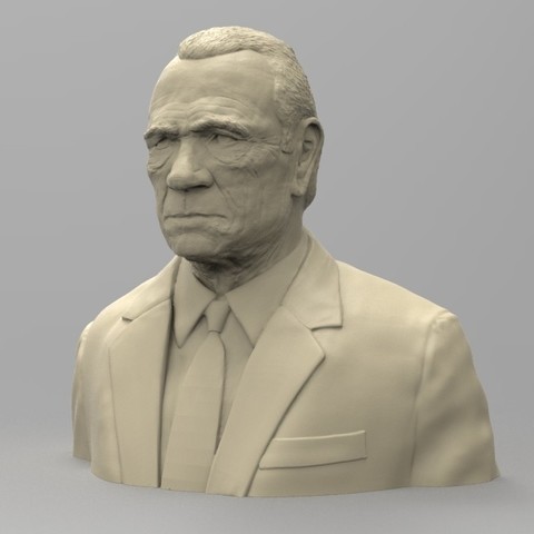 tommy lee jones art bust participant 3D print model - Mito3D