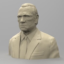 tommy lee jones art bust participant 3d print model - Mito3D