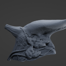 Zunge Anatomie 3d print model - Mito3D