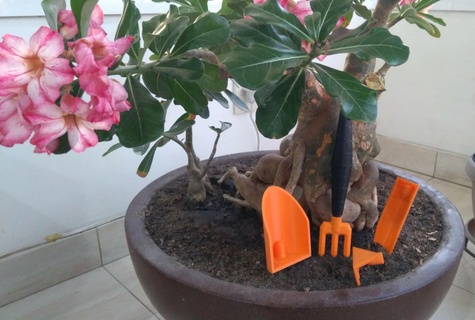 tools potted gardening relax plant garden fork rake shovel potting 3d print model - Mito3D