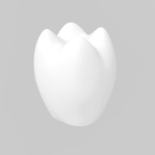 diente varios mole 3d print model - Mito3D
